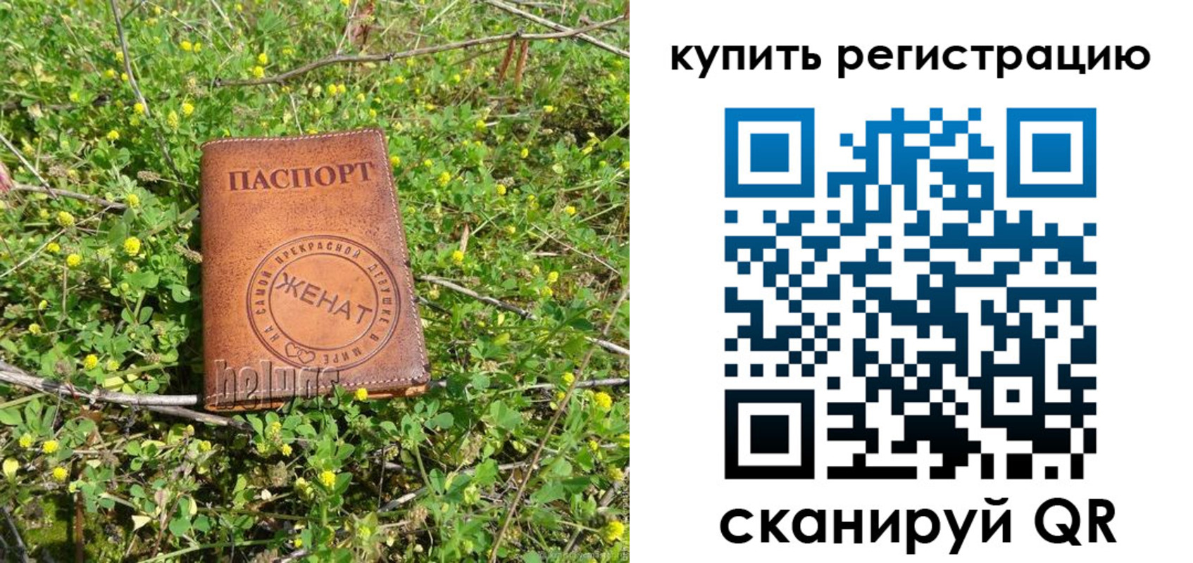 временная регистрация купить в Светлогорске